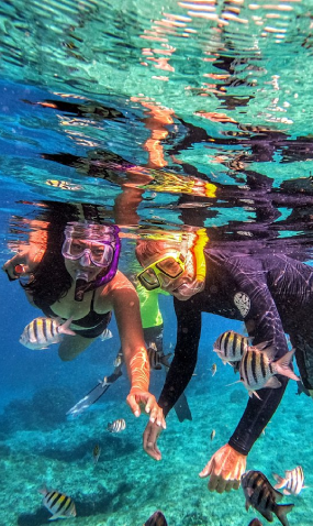 Snorkeling – Pulau Panjang